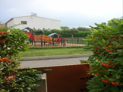 DSCN1310
